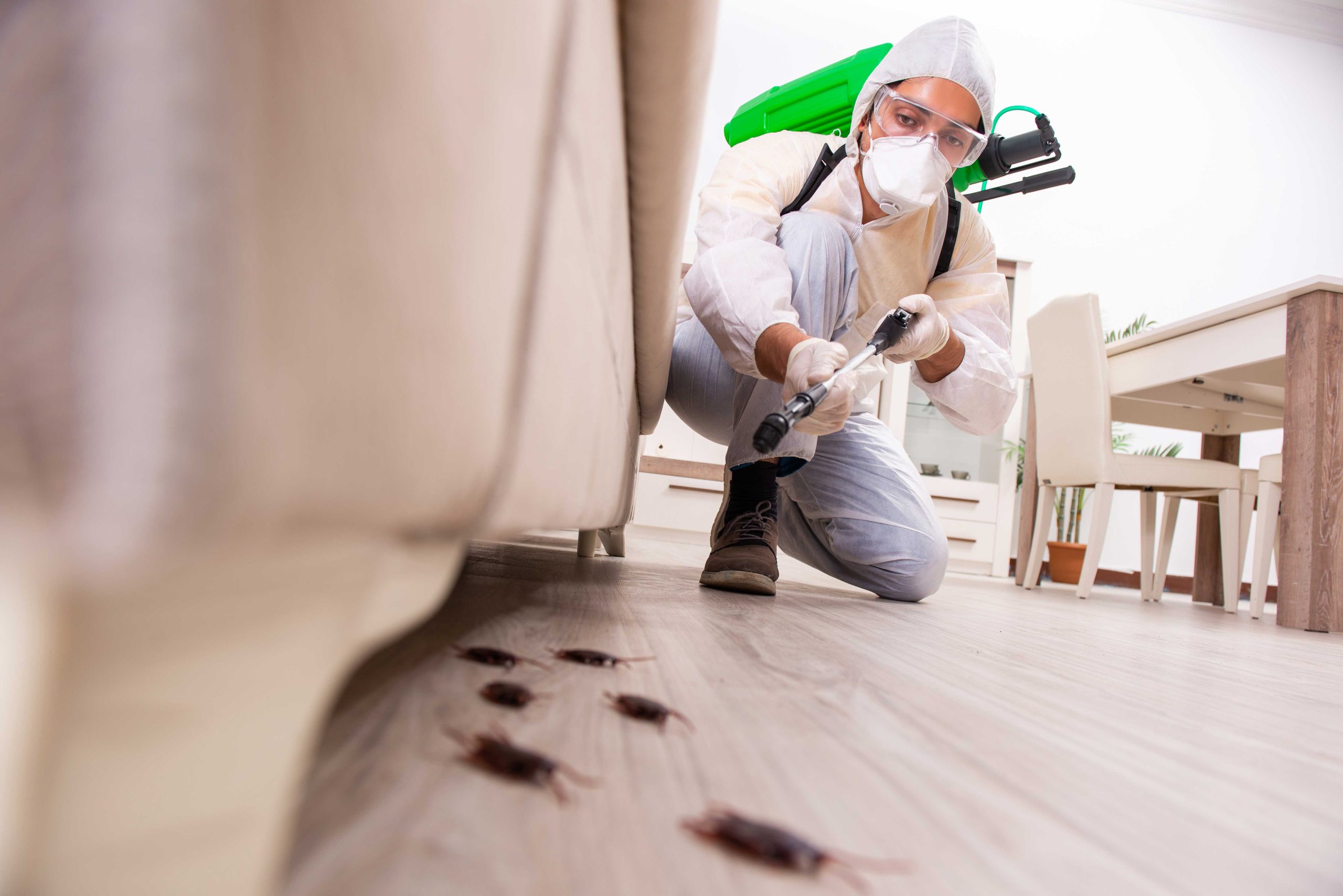 A picture of a man holding a can of pest control spray and aiming it at an unseen pest. The man appears to be indoors, possibly in a kitchen or other area where pests may be present. If you are dealing with a pest infestation in Indianapolis, IN, consider contacting a professional pest control company in the area for assistance.